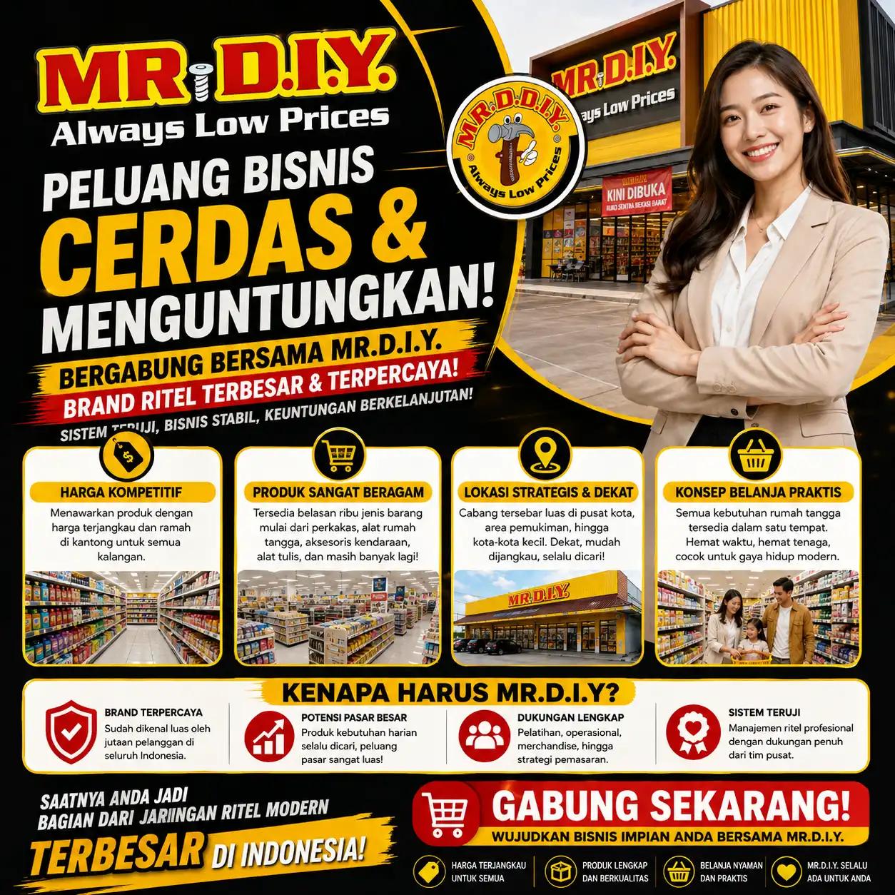 Mr DIY